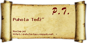 Puhola Teó névjegykártya