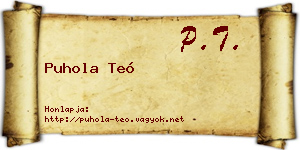 Puhola Teó névjegykártya
